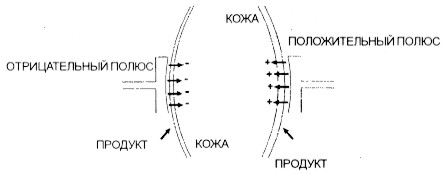 Схема электрофореза